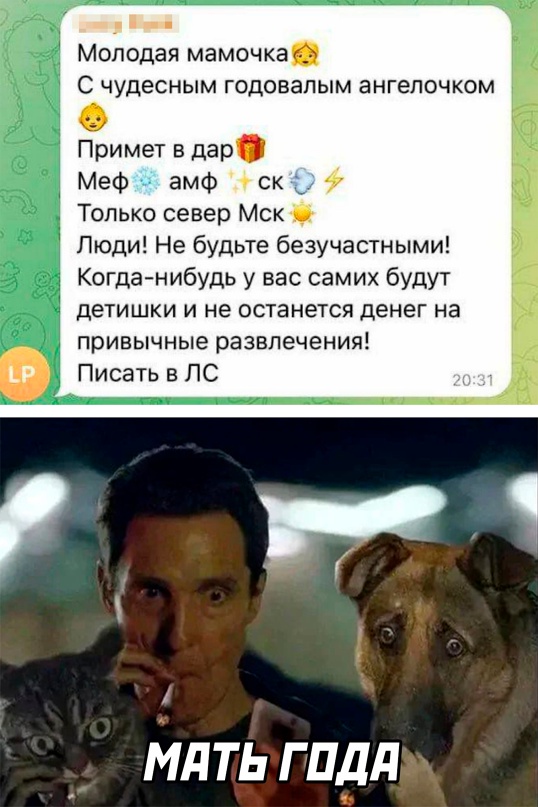 Картинки и мемы для настроения. Выходные рядышком...