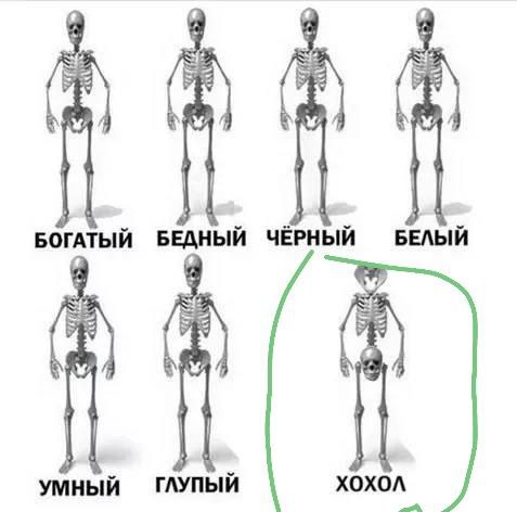 В Днепропетровске снесли памятник Михаилу Ломоносову