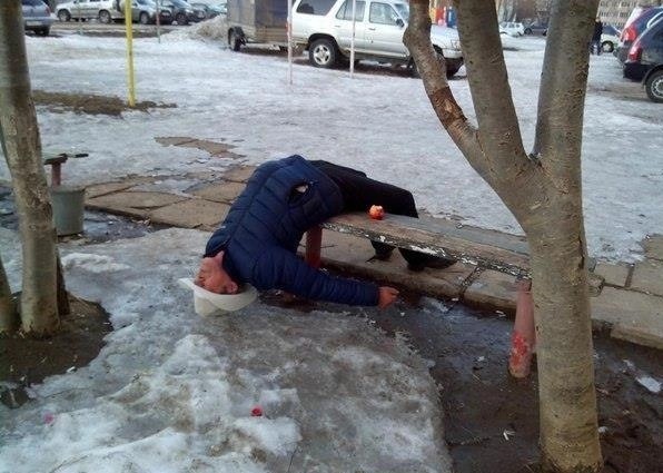 10 картинок с подписями