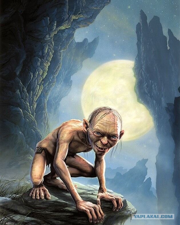 Выдающиеся лапы животного мира