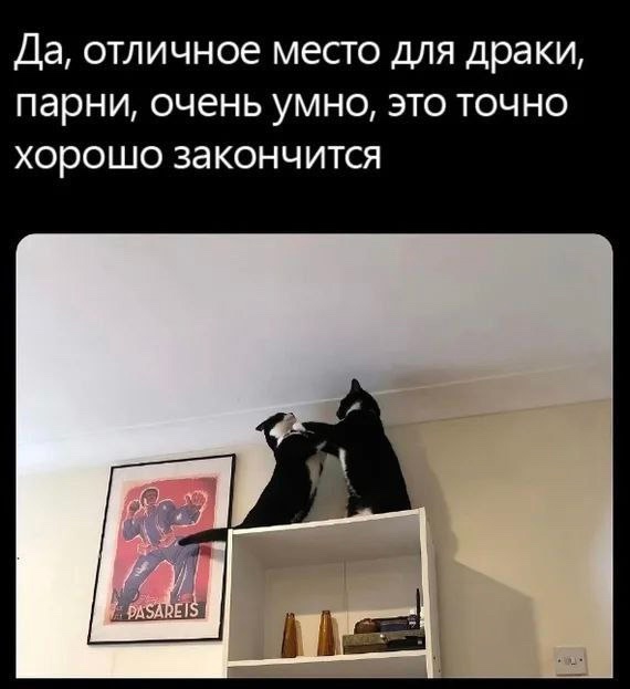 Так себе картинки 20.02.25
