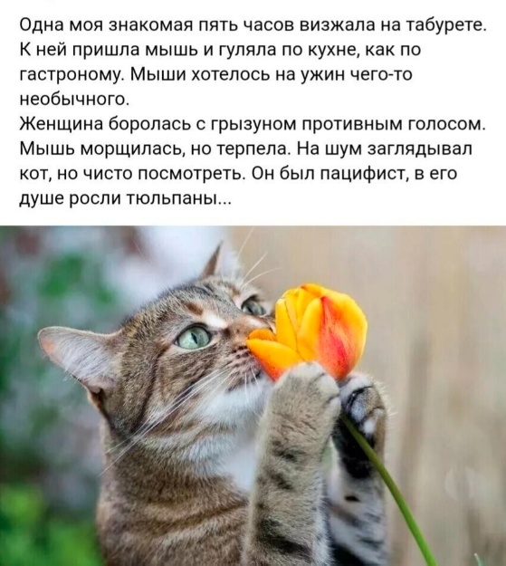 Так себе картинки 17.03.25
