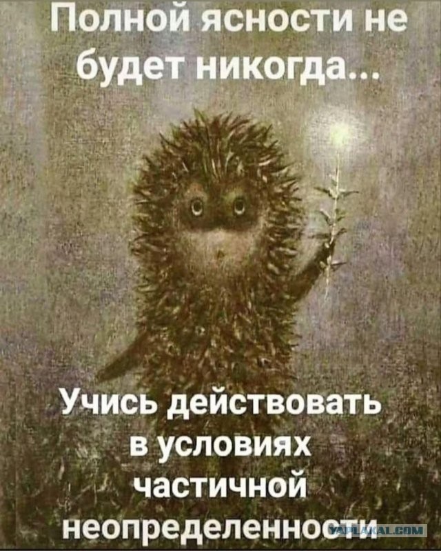 Спасли ёжика из решётки