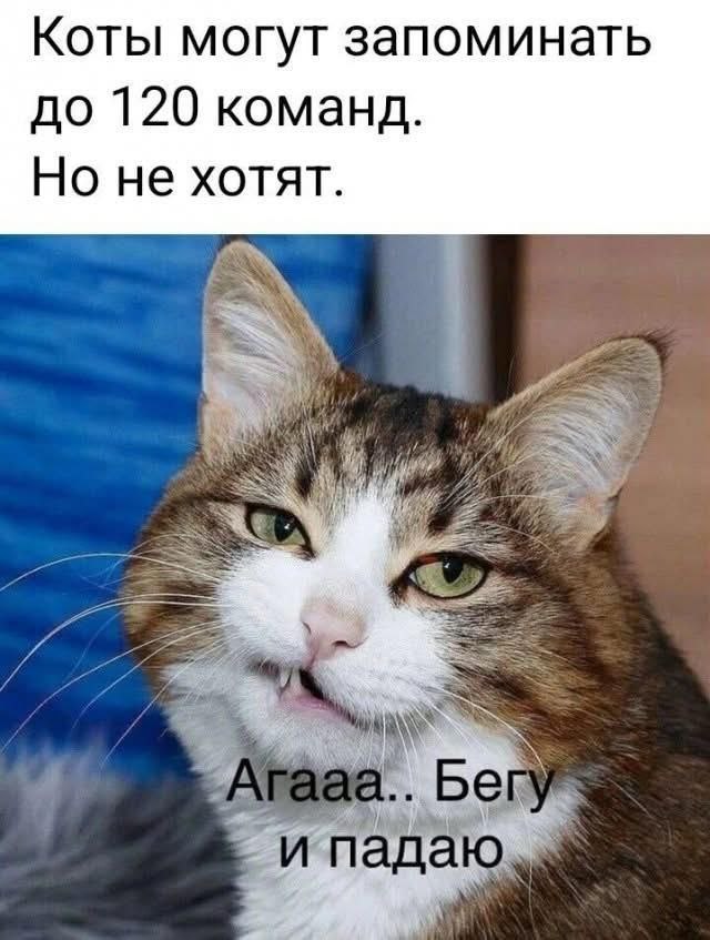 Так себе картинки 02.07.25