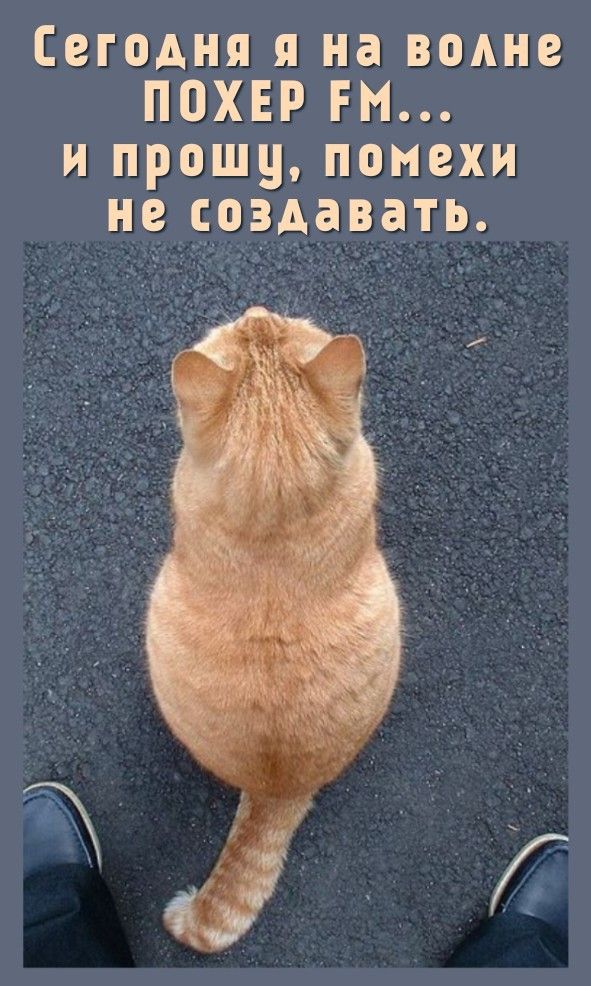 Прикольные и просто красивые картинки 12.08.2025