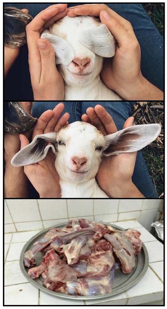 Не ешьте меня, пожалуйста