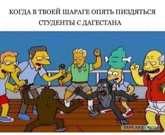 Картинки для деградации 66 (разной степени свежести)