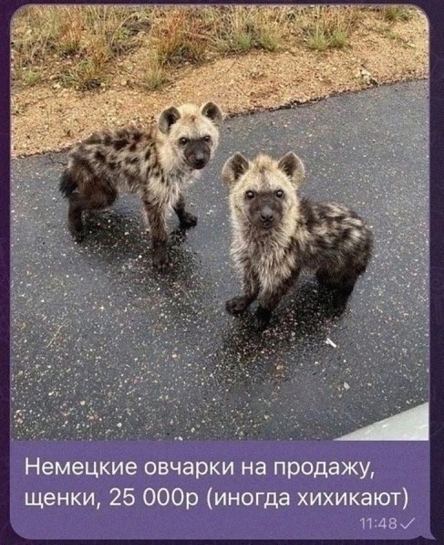 Воскресные картинки