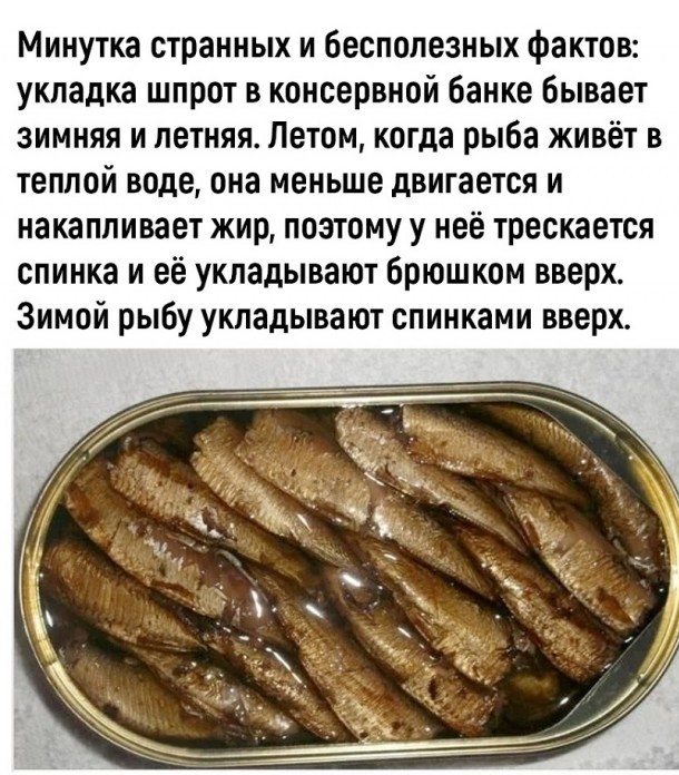 Так себе картинки 22.11.25
