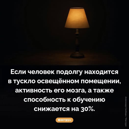 Пятничные бояны