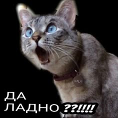 Учат в школе, учат в школе, учат в школе...