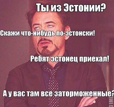 Про уличных собак и кошек