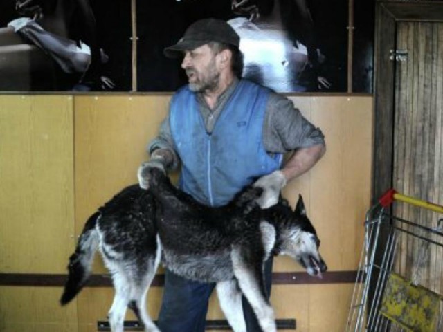 Всегда оставляй лучше для лучшего друга