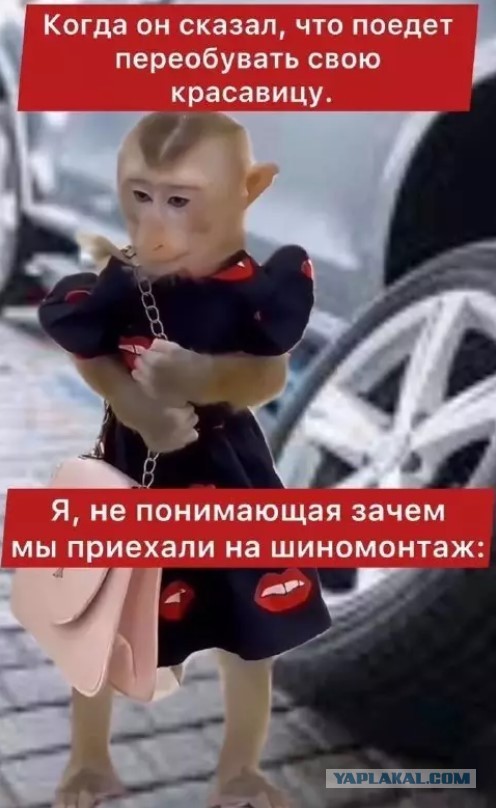 Картиночки, баянчики в начале мая