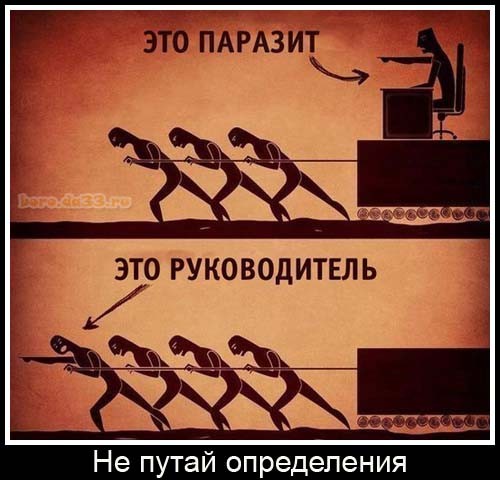 Картиночки, баянчики 29 июня