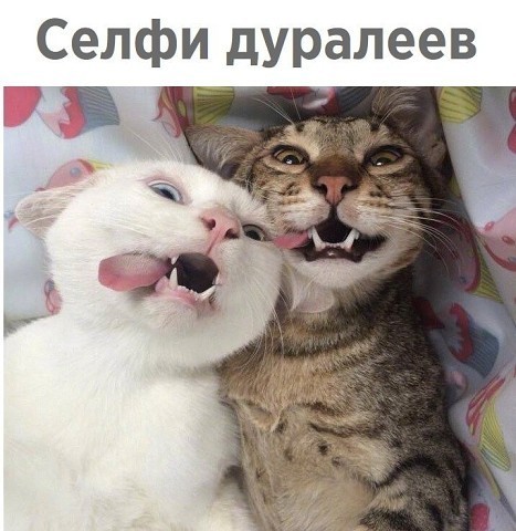 Когда отучился на курсах Юлии Высоцкой