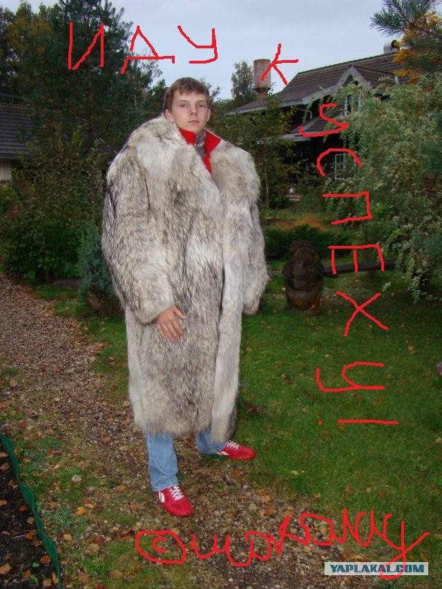 Никогда