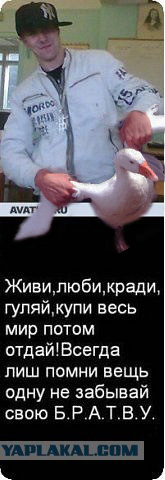 Подборка Аватарок Вконтакте