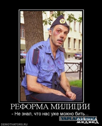 Картинки