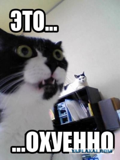 Краткая сводка от ополчения.