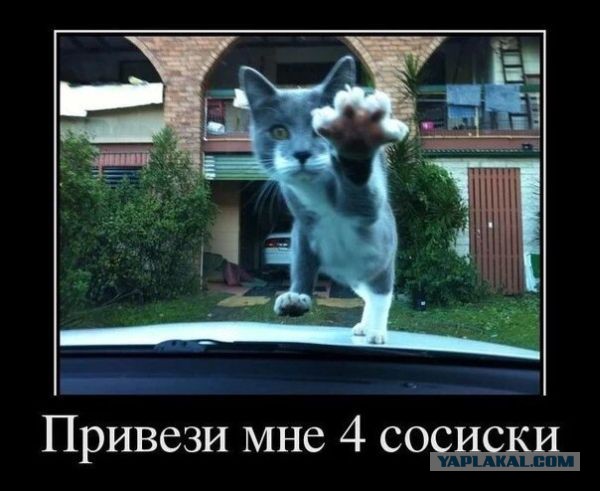 Подарочные конверты (2 шт)