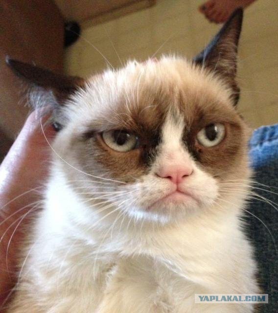Тот самый Семен Семенченко