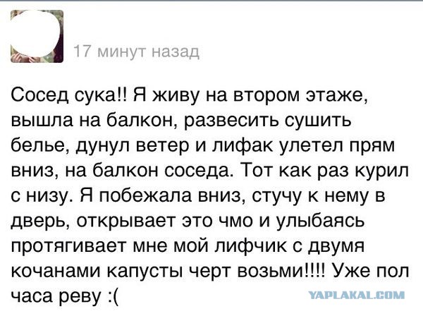 Крик души, когда "СИСЕГ НЕТ"