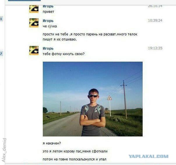 Смешные комментарии из соцсетей, картинки
