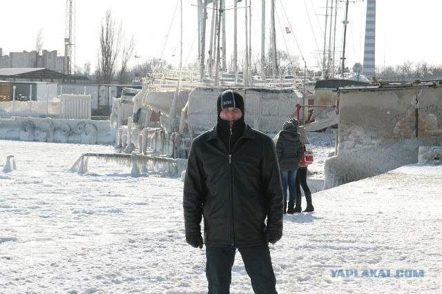 Скованная морозами