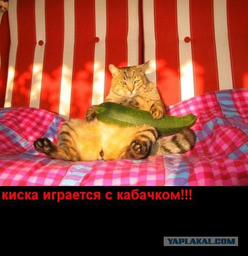 Немного интима