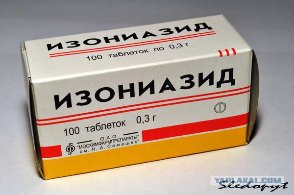 Живёт в метро собака...