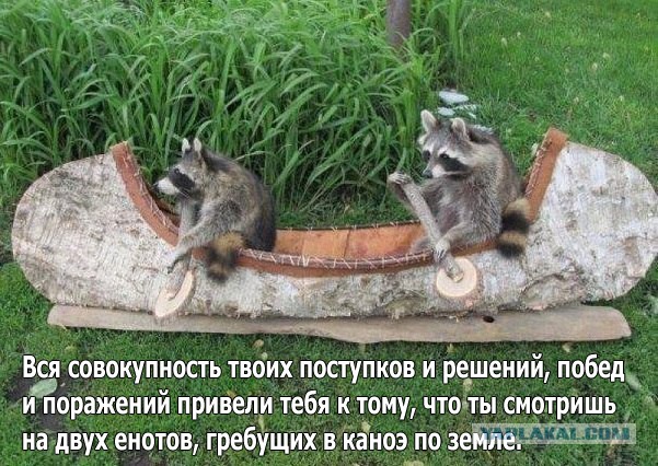 Приколы из моего города