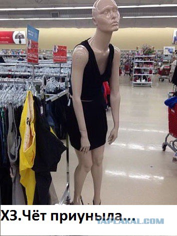 Забавные картинки из Сети