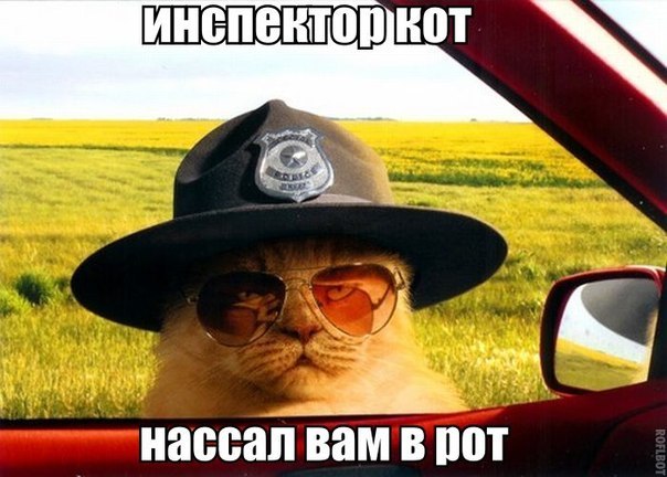 Обидели котейку? Получите, распишитесь!