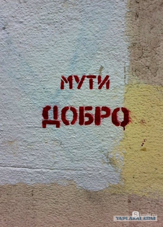 Надписи, таблички, маразмы