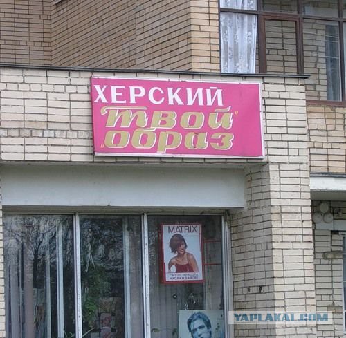 Картинки и гифки