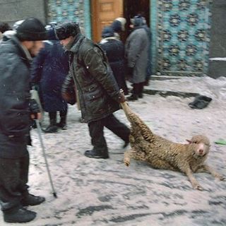 Ужасы и приколы из соцсетей 18+