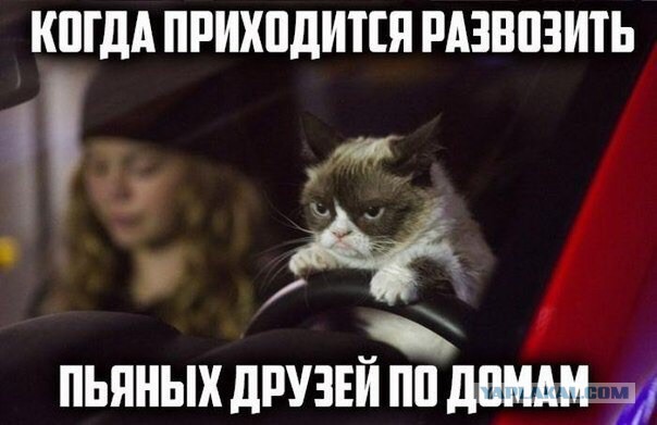 Забавные картинки из Сети