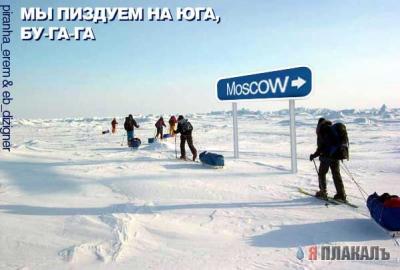 Дневник замерзающего москвича