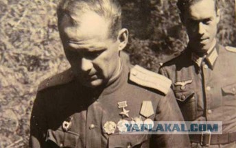 Найдены через 70 лет