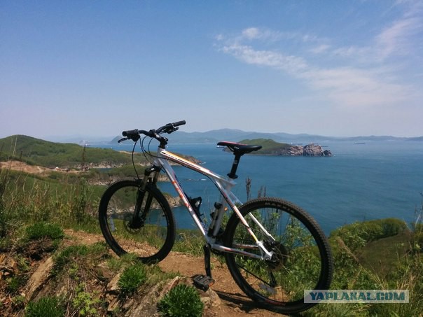 Я узнал, что у меня есть огромная семья