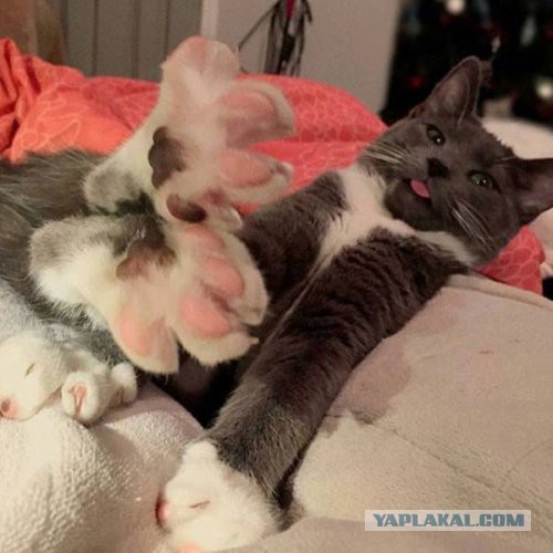 Подборка картинок