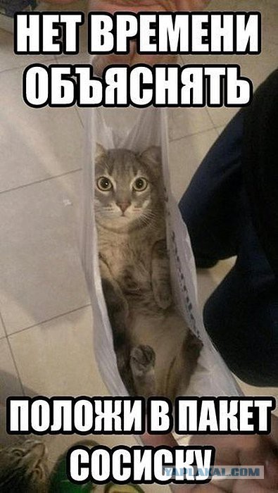 Нет времени объяснять, так надо!