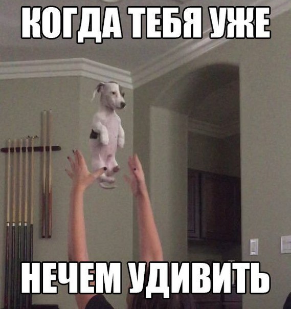В июле два подростка исчезли на Бермудах. Нашли только телефон
