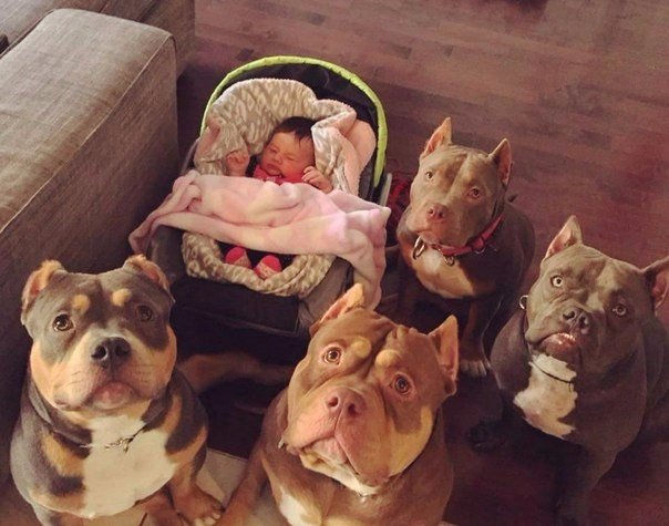 Подборка интересных и веселых картинок