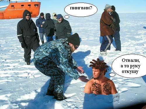 Фотожаба: Монтана