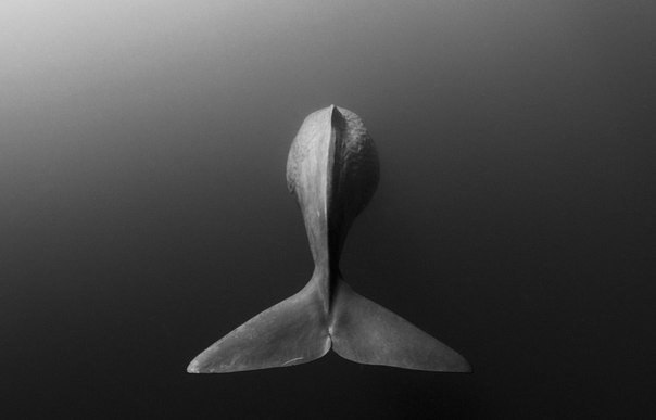 Картинки для отдыха глаз