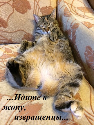 К звездам