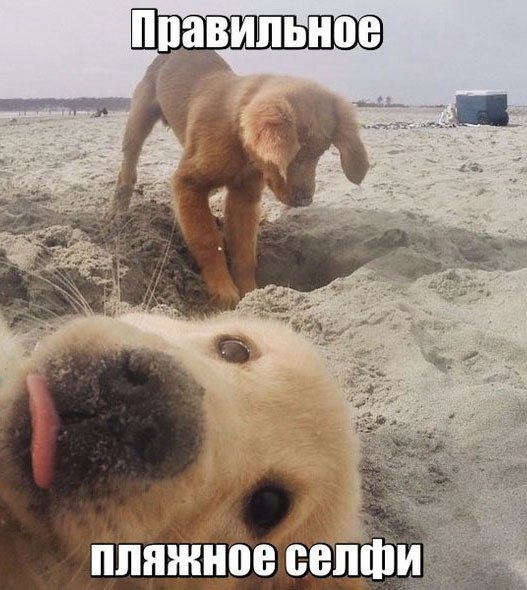 Подборка разного из сети