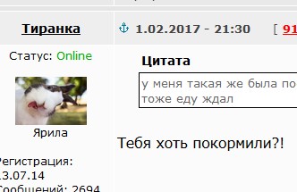 "Каждый день в 5 вечера я возвращаюсь домой и мой кот каждый раз встречает меня..."